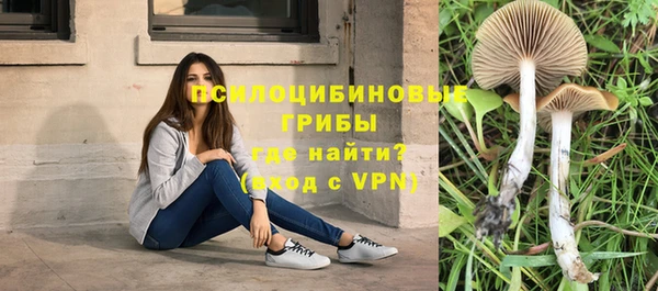мдма Бородино