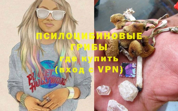 мдма Бородино