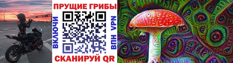 Псилоцибиновые грибы GOLDEN TEACHER  закладка  Каргат 
