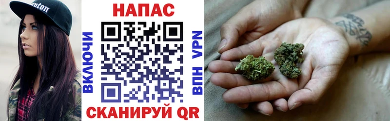 купить наркоту  Каргат  Марихуана планчик 